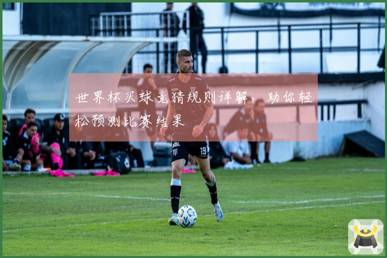 世界杯买球竞猜规则详解，助你轻松预测比赛结果