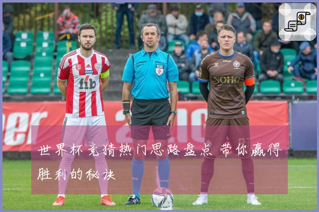 世界杯竞猜热门思路盘点 带你赢得胜利的秘诀