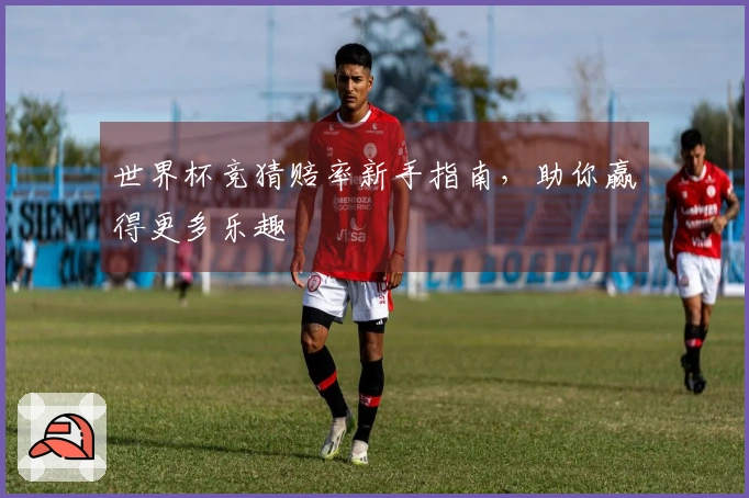 世界杯竞猜赔率新手指南，助你赢得更多乐趣