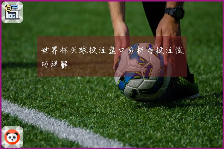 世界杯买球投注盘口分析与投注技巧详解