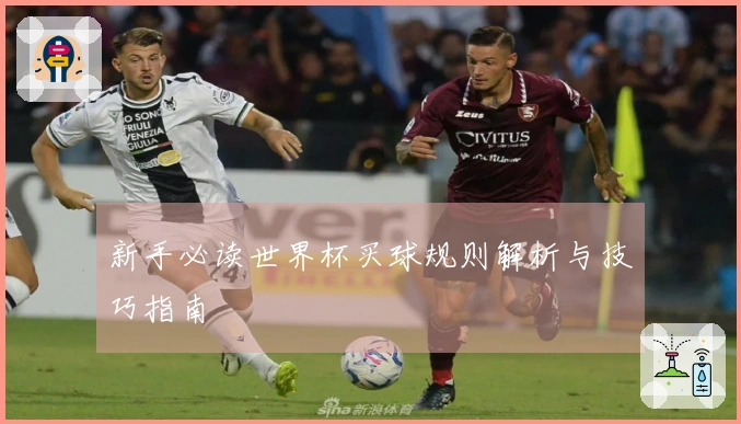 新手必读世界杯买球规则解析与技巧指南