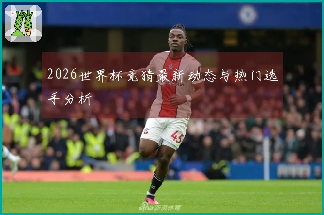 2026世界杯竞猜最新动态与热门选手分析